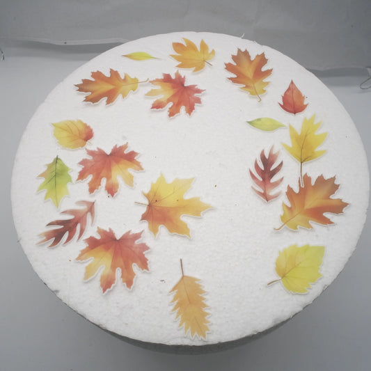 Essbare Blätter -Herbst Halloween - Funny Bake