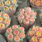 Blumentüllenset 7 Teile Cupcakes Russische Zuckerblumen